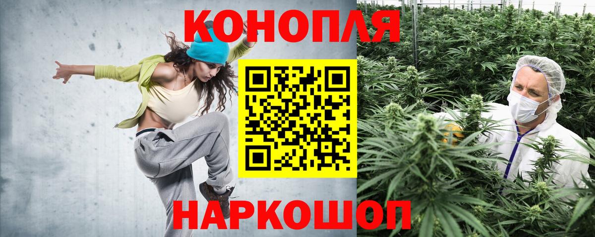 Канабис OG Kush Борзя